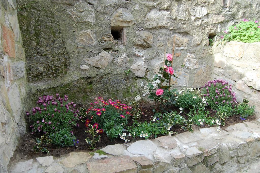 Emily House Montecerboli Exterior foto